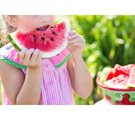 Forum Santé sur l'écologie et la santé à Auch - 12/06/2024