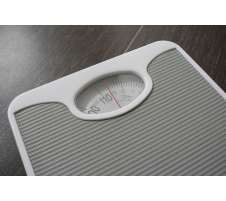 2ème Journée Territoriale Obésité du Centre Intégré Obésité Midi-Pyrénées le 20/12/2024